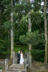 Melissa and Craig's Wedding